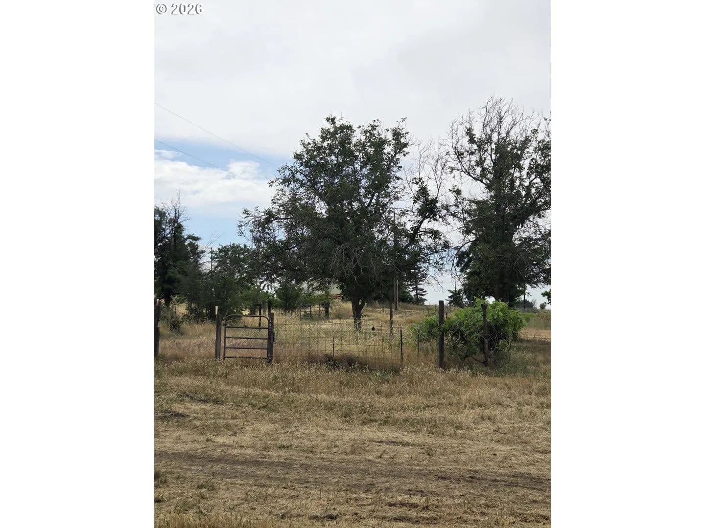 Property from 78936 Shoemake RD - KW - Boardman, Oregon, 97818