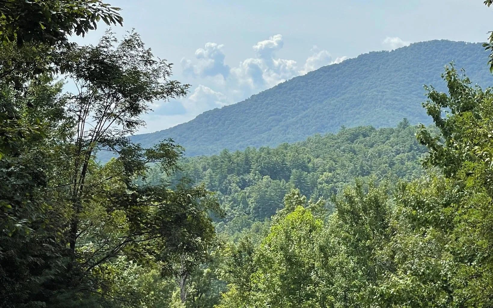Lots & Land-Other in Hayesville - Hayesville, North Carolina, 28904