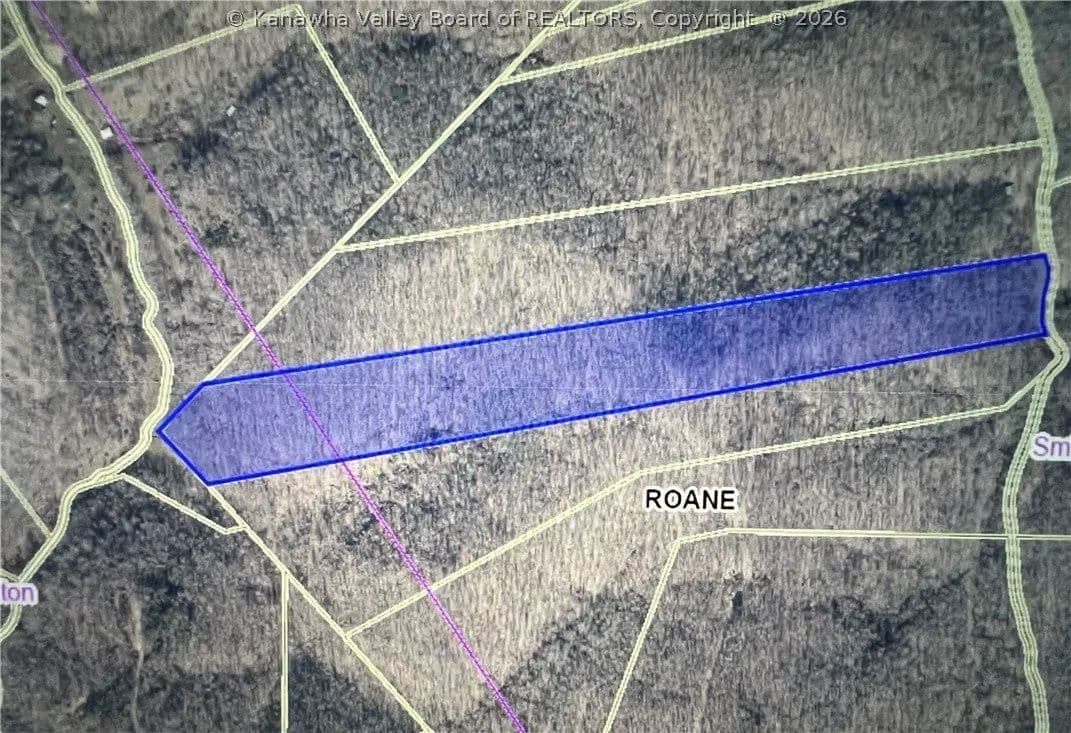 Lots & Land-Other in Looneyville - Looneyville, West Virginia, 25259