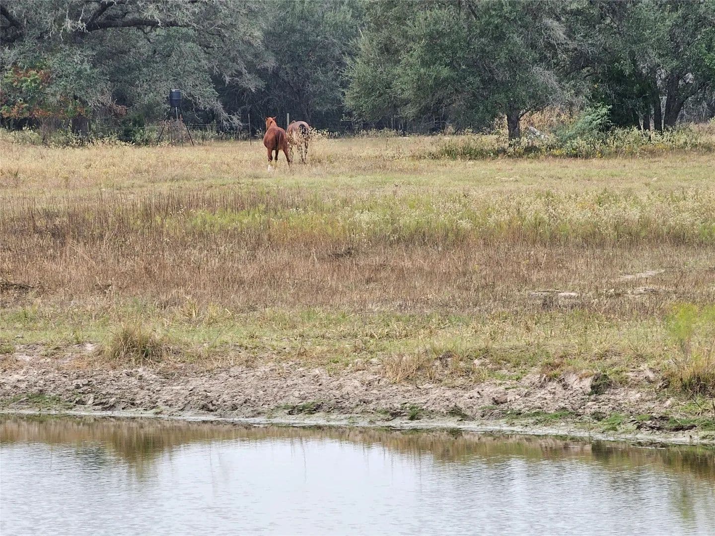 Lots & Land-Other in Columbus - Columbus, Texas, 78934