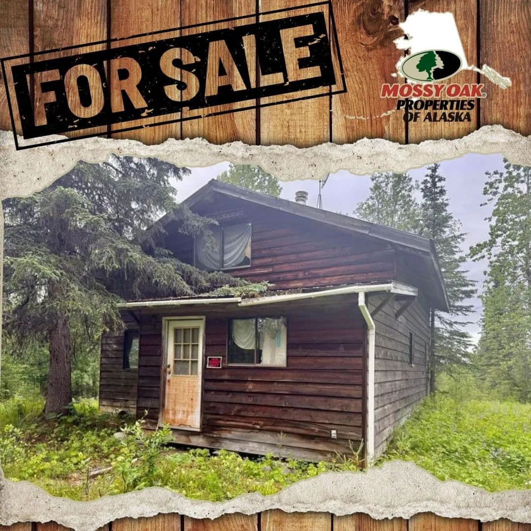 Fixer upper in Ninilchik - Ninilchik, Alaska, 99639