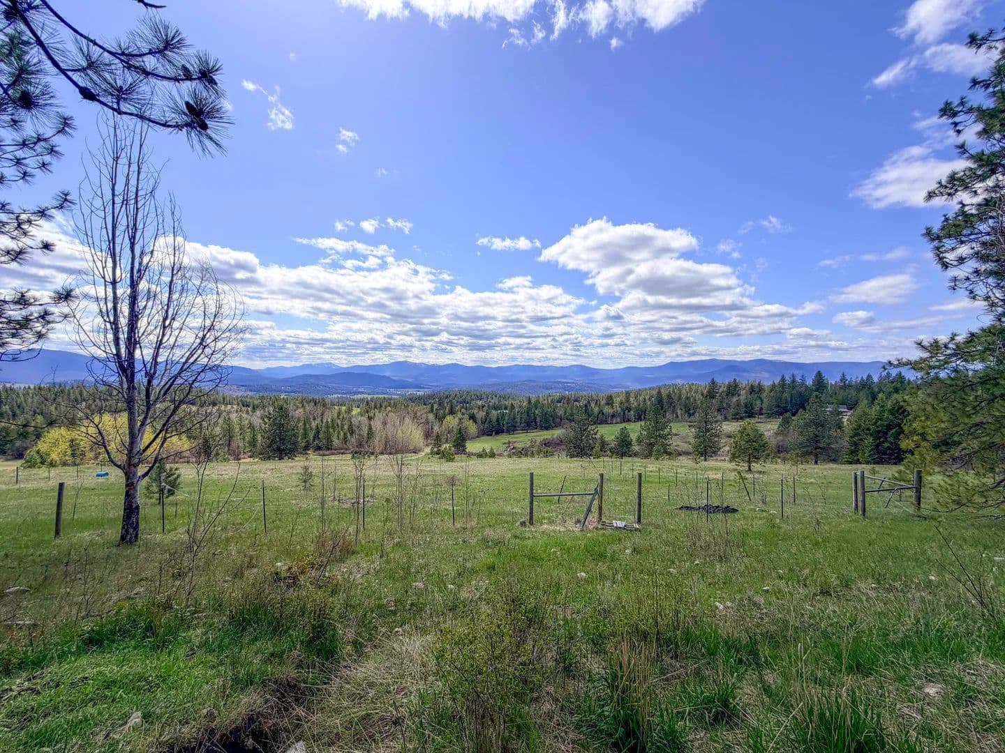 Lots & Land-Other in Colville - Colville, Washington, 99114