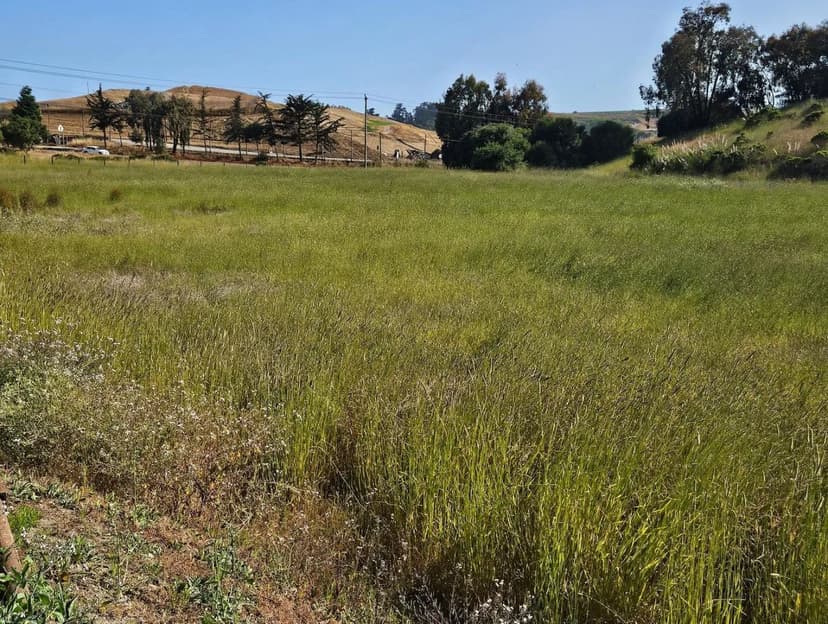 Property from Buena Vista - KW