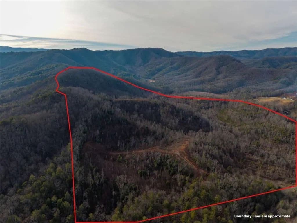 156.15 Acres of Land for Sale in Blue Ridge, GA - Blue Ridge, Georgia, 30513
