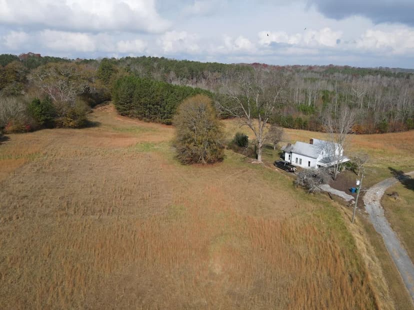 Town Creek Farm – 105 Ac | Homesites • Hunting • Creeks • Timber Investment