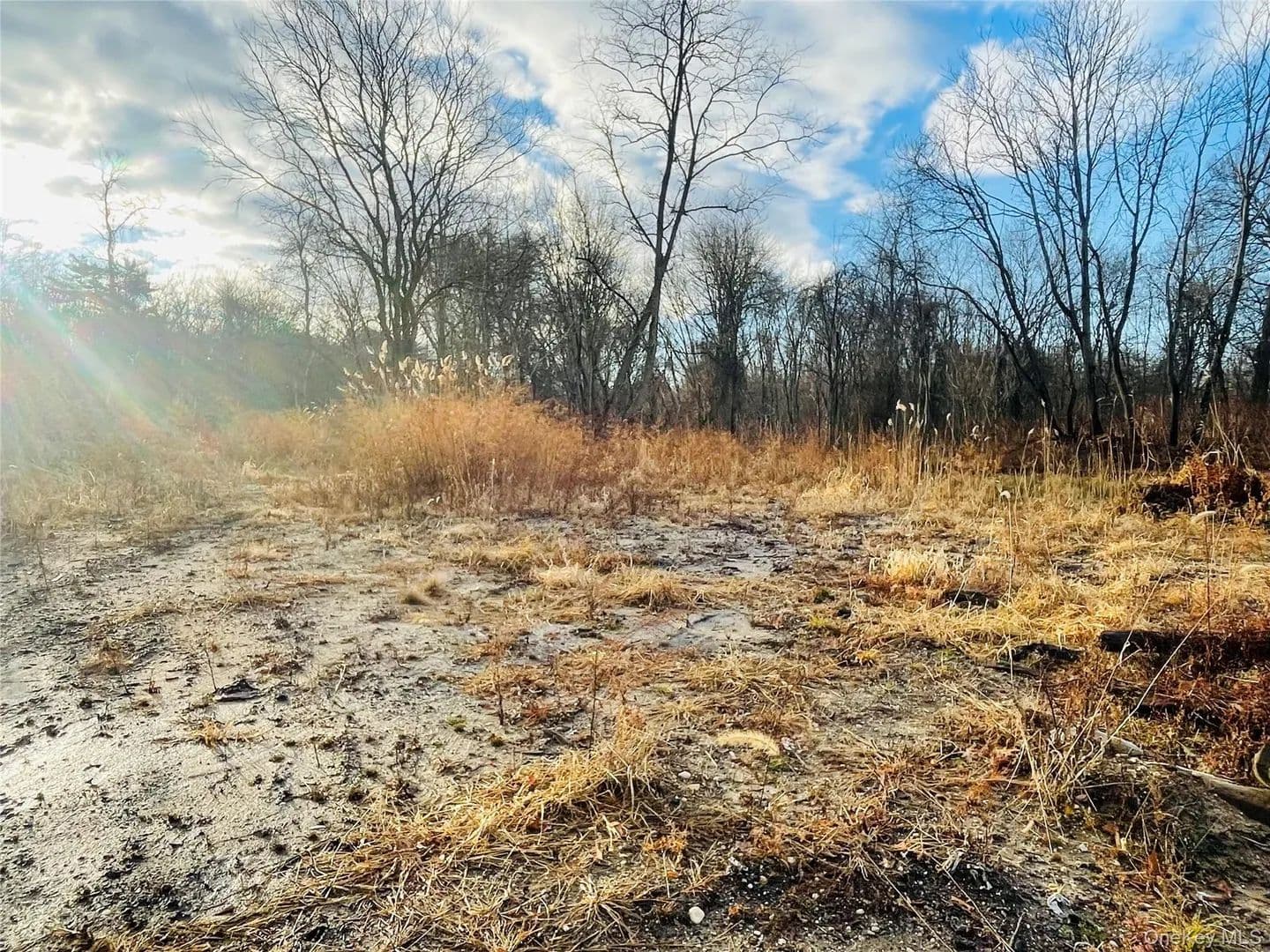 Lots & Land-Other in Middle Island - Middle Island, New York, 11953