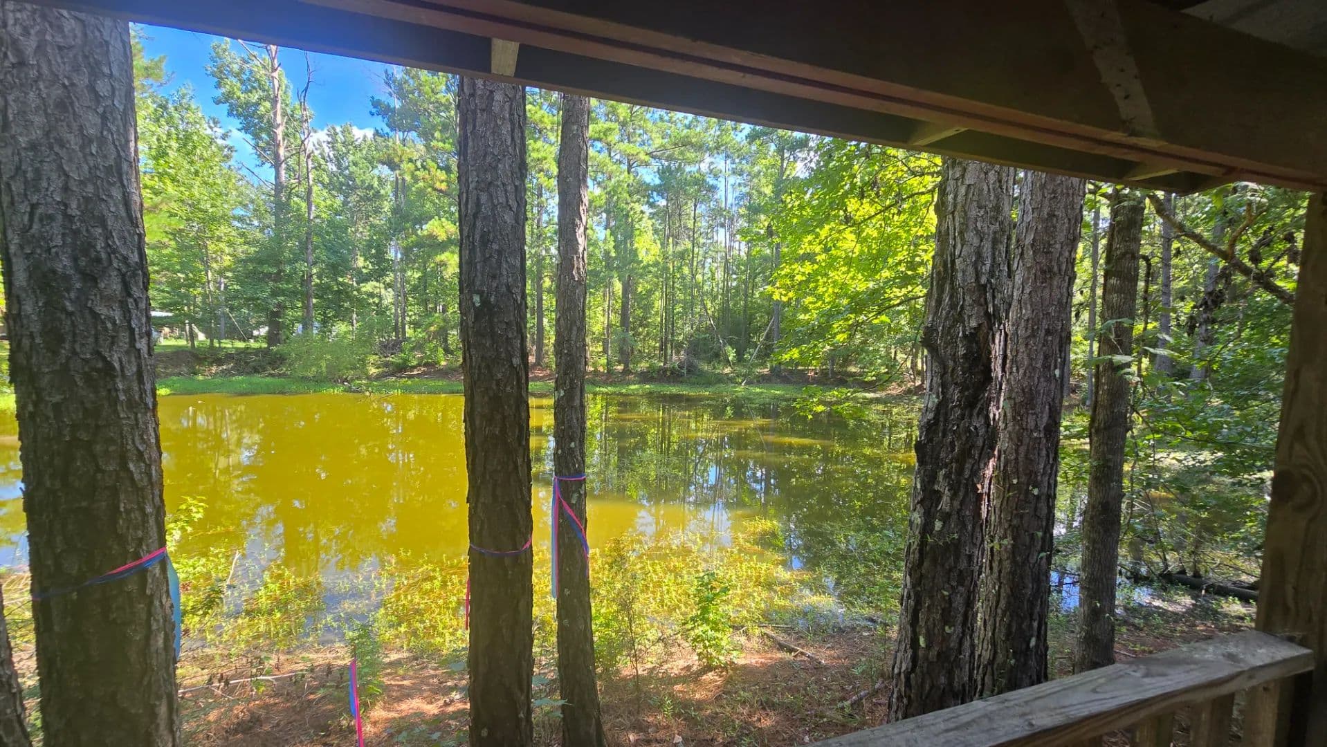 7.7+/- Acres in the Heart of the Homochitto National Forest - Mccall Creek, Mississippi, 39647