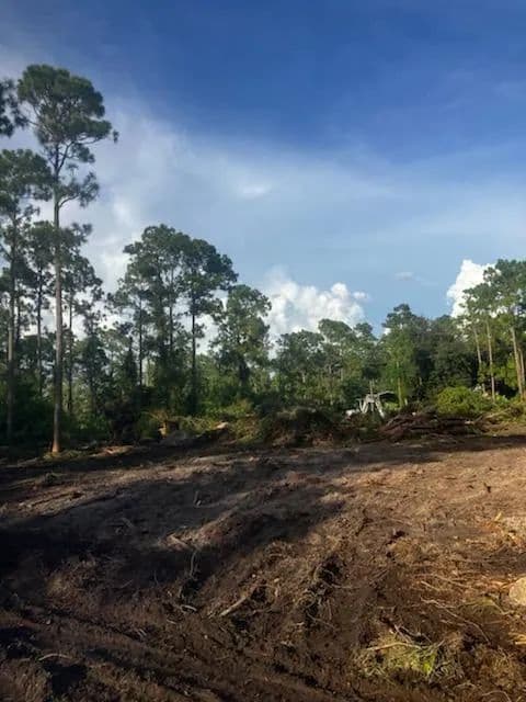 Vacant Land in Alva - Alva, Florida, 33920