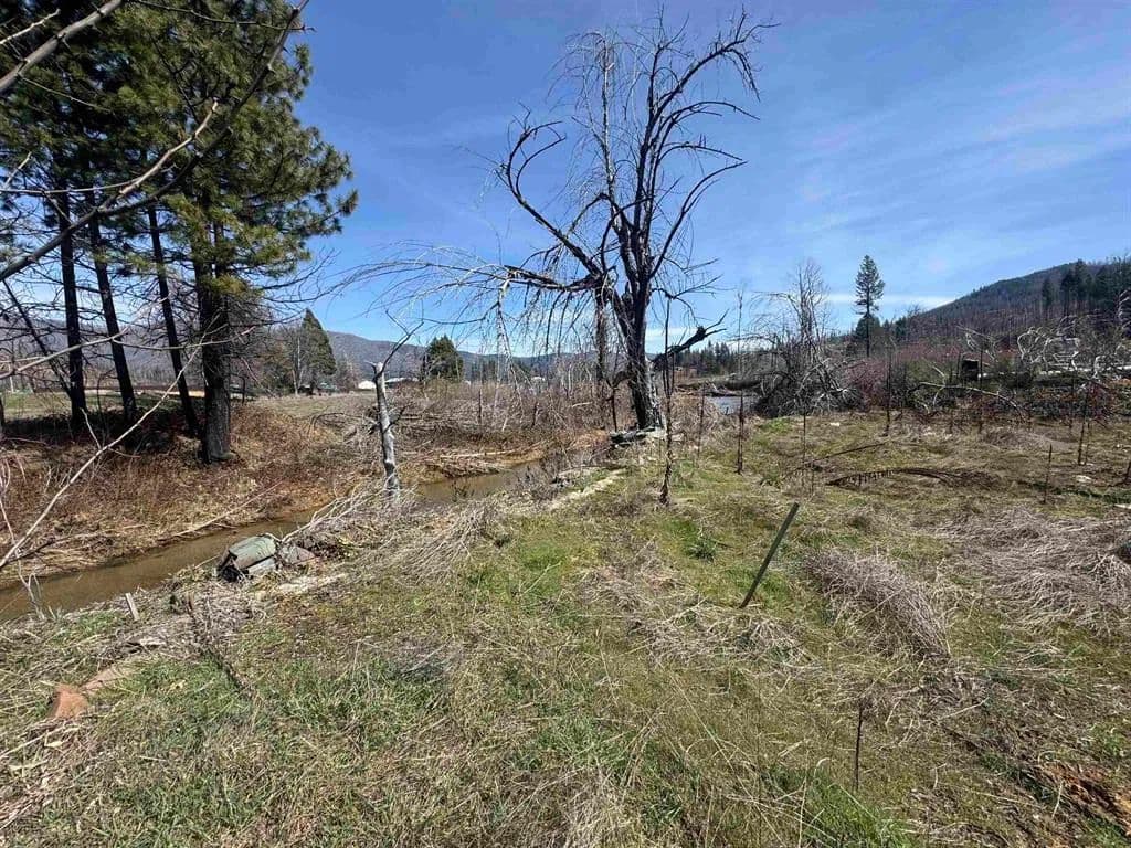 Vacant Land in Greenville - Greenville, California, 95947
