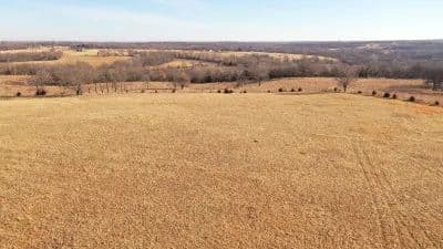 Spring Hill 262 in Spring Hill, Kansas - photo 29
