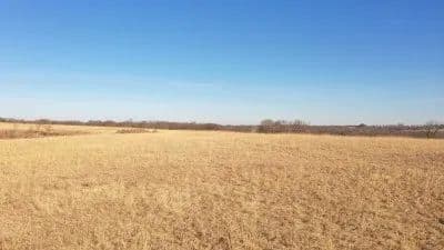 Spring Hill 262 in Spring Hill, Kansas - photo 22