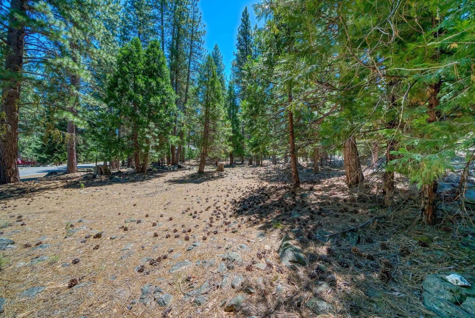 0.32 Acres of Land for Sale in Graeagle, CA - Graeagle, California, 96103