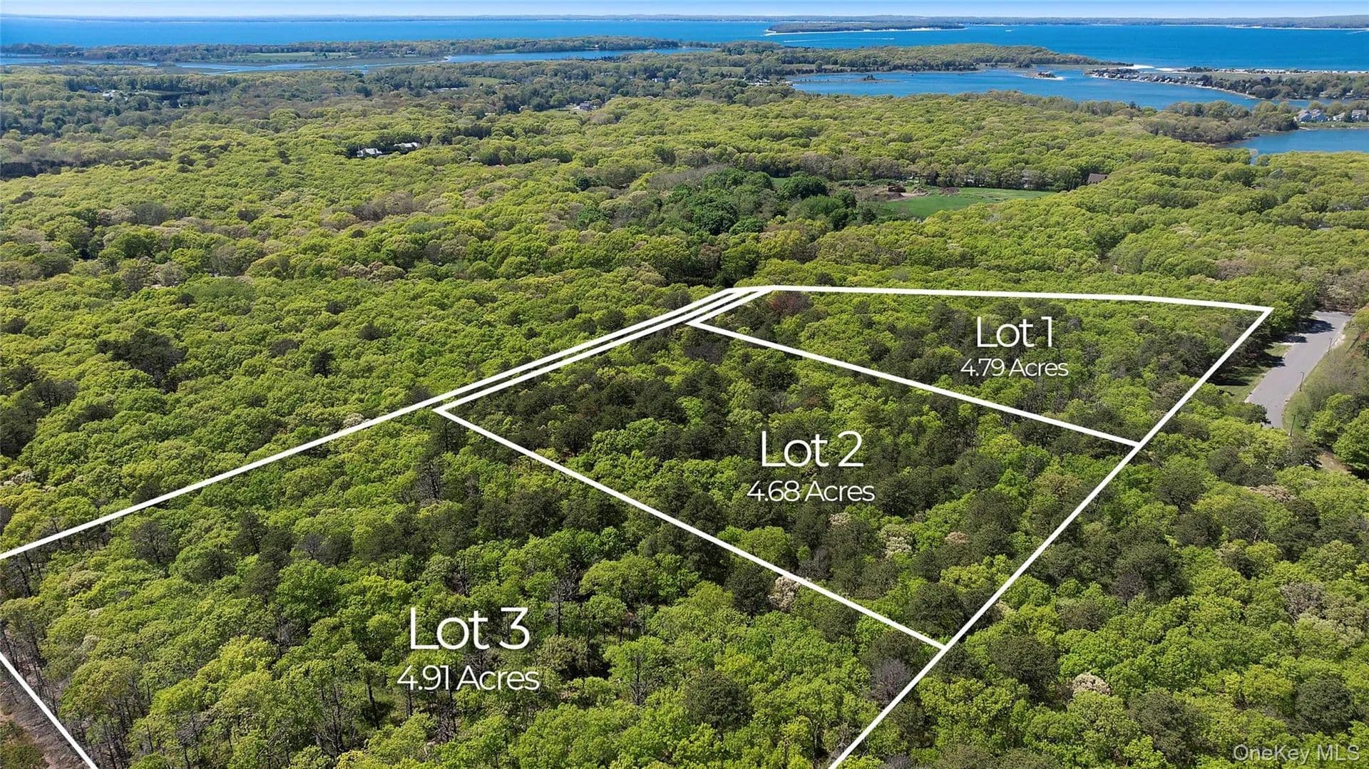 Land for Sale in Southampton, NY - Southampton, New York, 11968