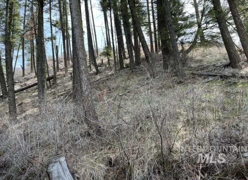 Lots & Land-Other in Anatone - Anatone, Washington, 99401