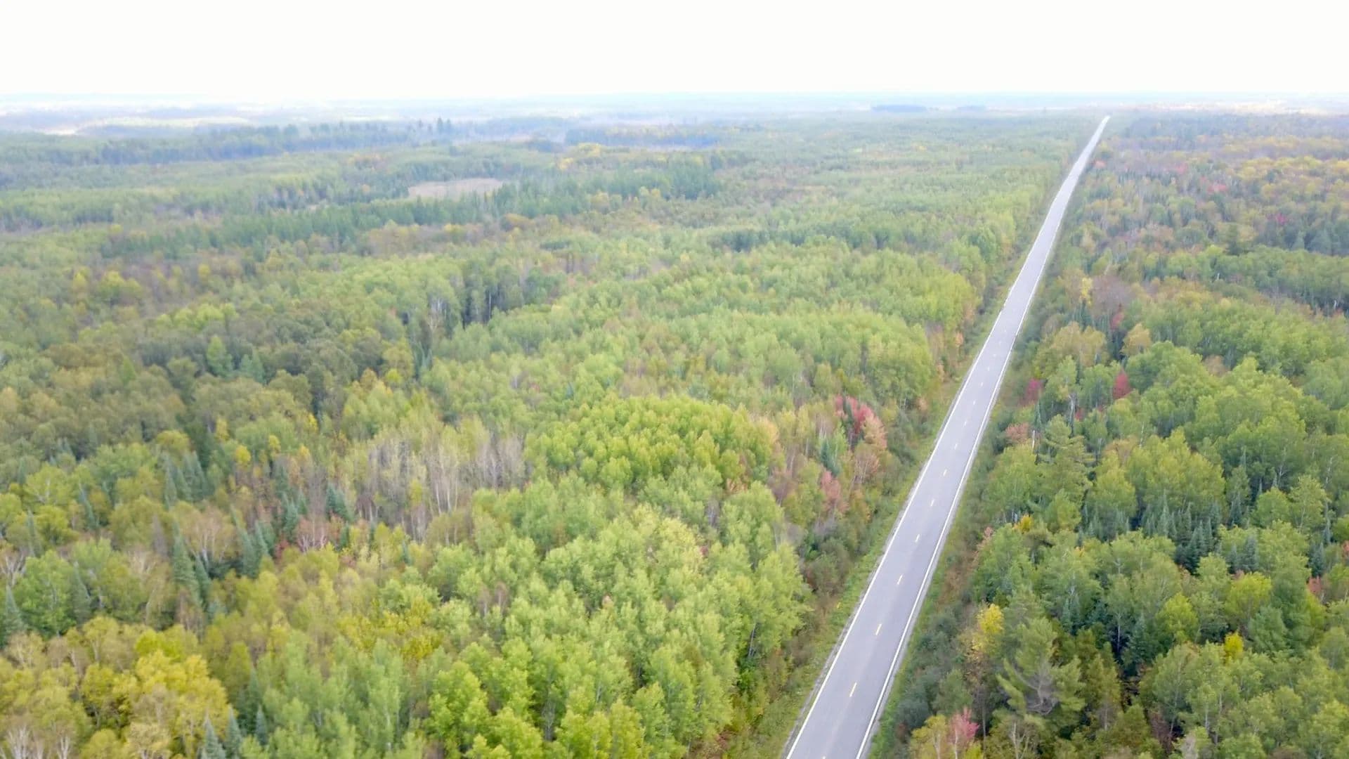 Vacant Land in Littlefork - Littlefork, Minnesota, 56668