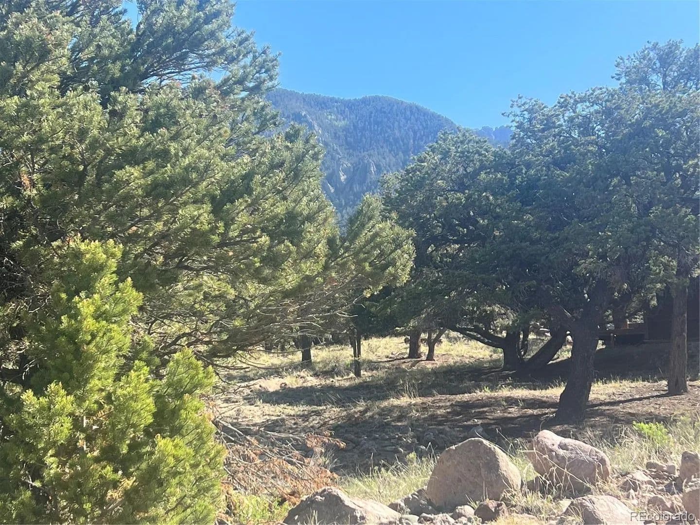 Property from 286 Palomino Way - KW - Crestone, Colorado, 81131