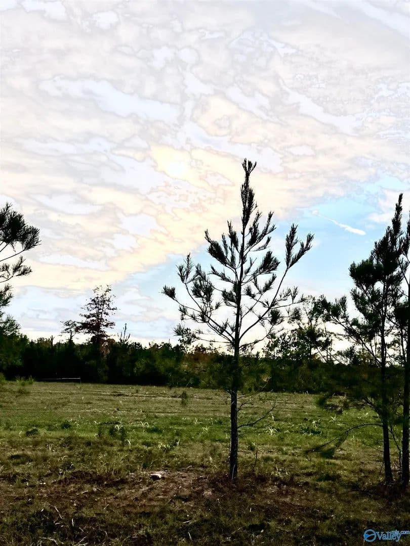 Property from Lot 11 County Road 39 - KW