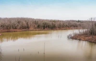 Rainbow Springs Lake in Mineral Point, Missouri - photo 3