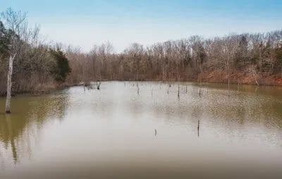 Rainbow Springs Lake in Mineral Point, Missouri - photo 4