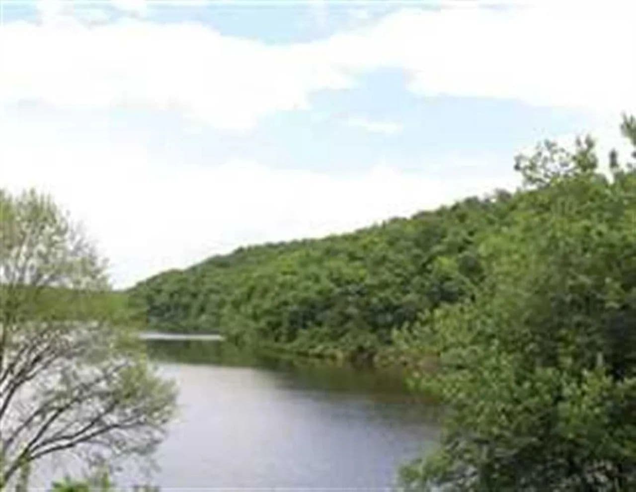 Rainbow Springs Lake in Mineral Point, Missouri - photo 19