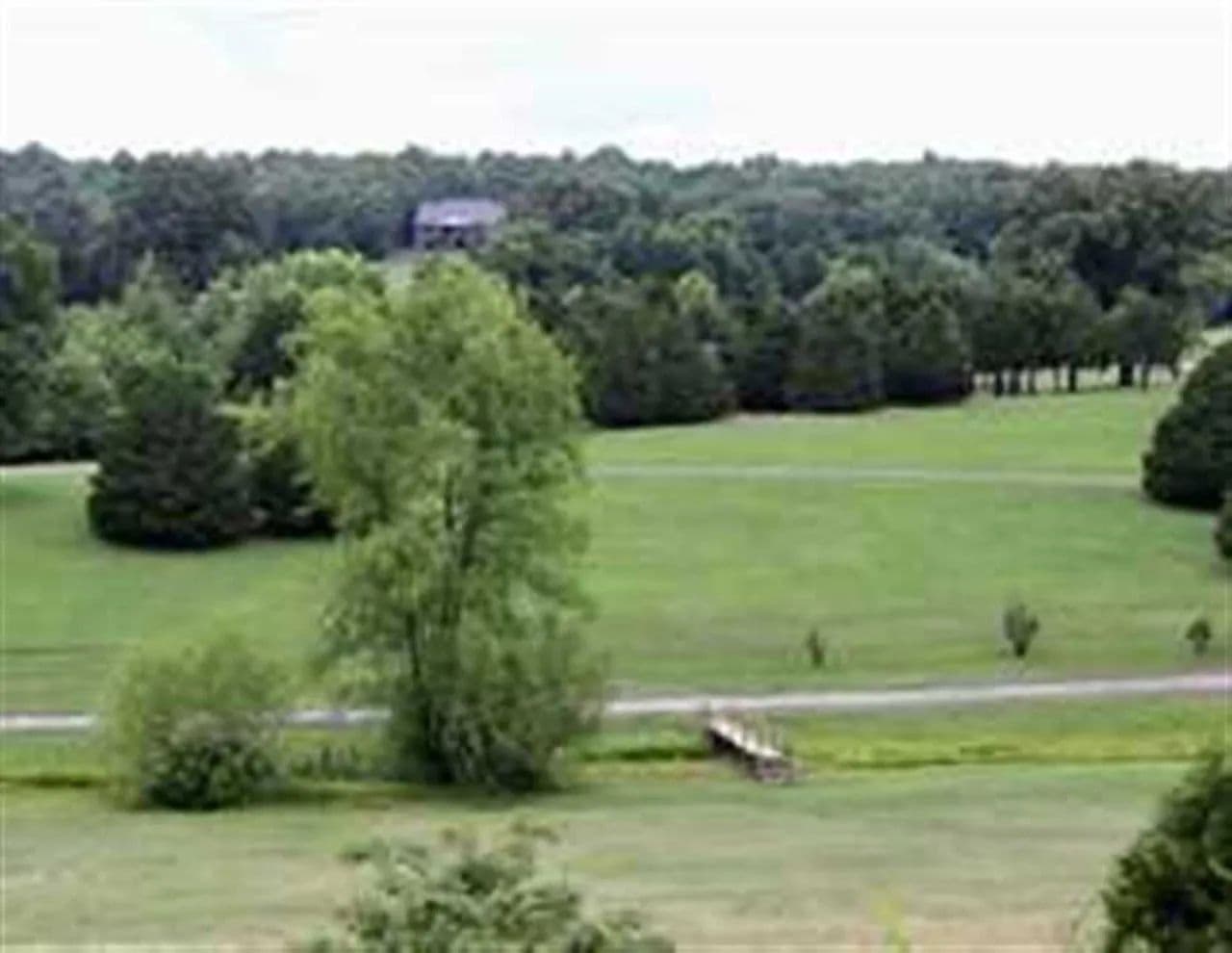 Rainbow Springs Lake in Mineral Point, Missouri - photo 13