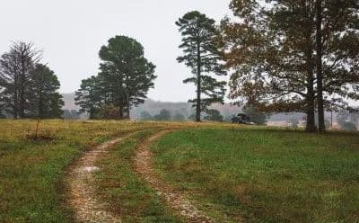 Texas County Cattle Farm in Licking, Missouri - photo 14