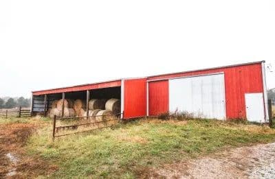 Texas County Cattle Farm in Licking, Missouri - photo 20