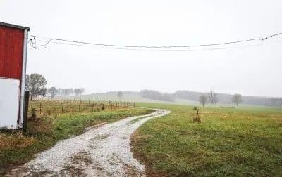 Texas County Cattle Farm in Licking, Missouri - photo 23