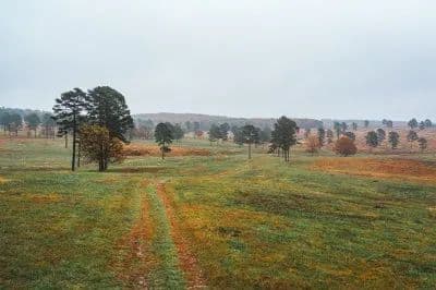 Texas County Cattle Farm in Licking, Missouri - photo 24