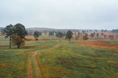Texas County Cattle Farm in Licking, Missouri - photo 2