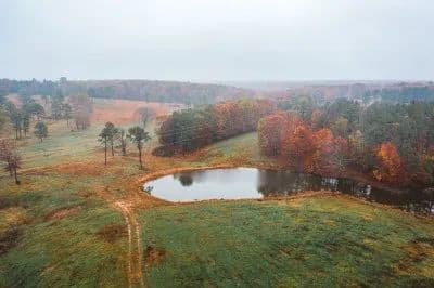 Texas County Cattle Farm in Licking, Missouri - photo 3