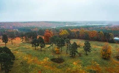 Texas County Cattle Farm in Licking, Missouri - photo 10