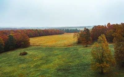Texas County Cattle Farm in Licking, Missouri - photo 25