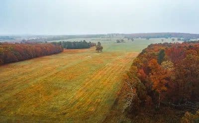 Texas County Cattle Farm in Licking, Missouri - photo 26