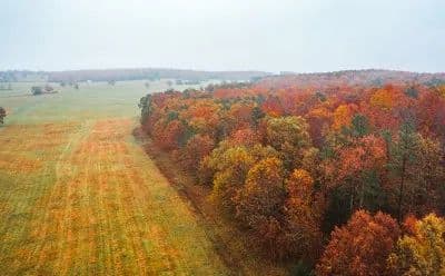 Texas County Cattle Farm in Licking, Missouri - photo 27