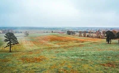 Texas County Cattle Farm in Licking, Missouri - photo 19