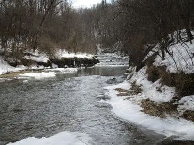 Vandermark Creek Acres