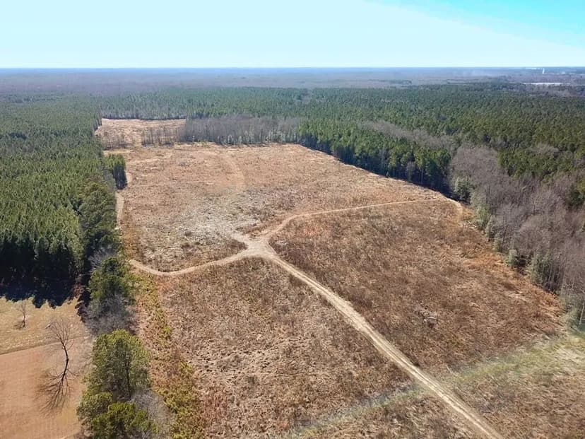 107 Acres of Hunting Land and Timberland For Sale in Greensville County!