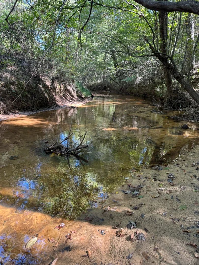 39 Acres in Tippah County, MS 