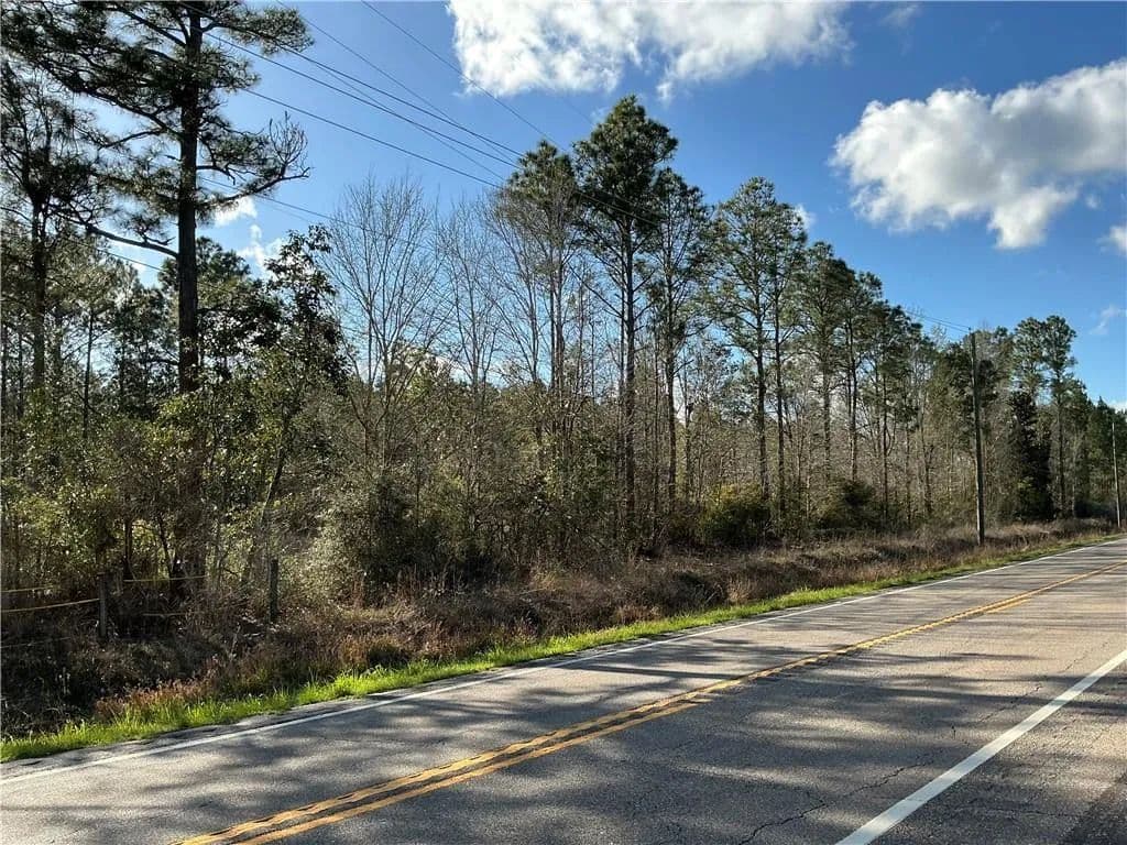 39 Acres of Land for Sale in Theodore, AL - Theodore, Alabama, 36582