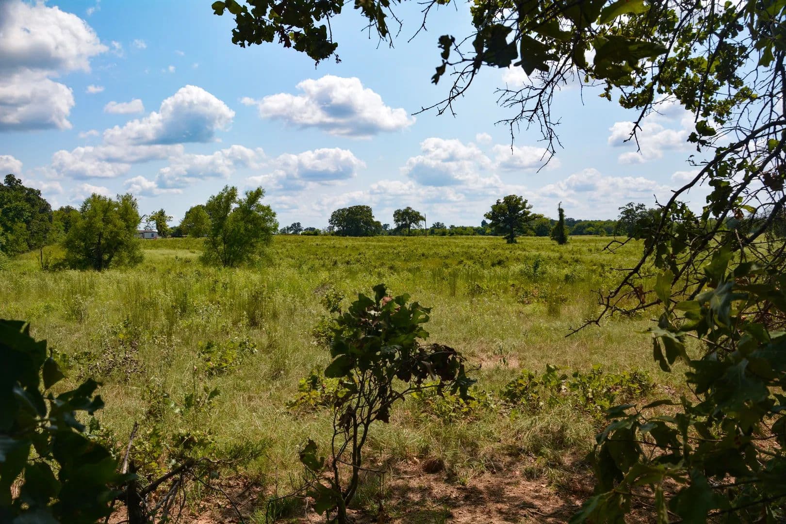Land -Agricultural (Not Zoned) in Grand Saline - Grand Saline, Texas, 75140