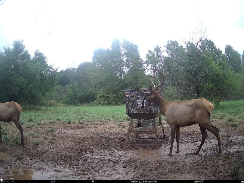 South Canadian River Ranch
