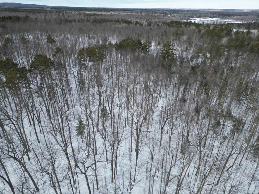 Vacant Land in Ashland