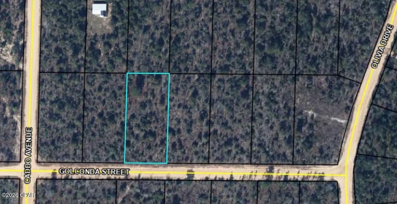 Vacant Land in Alford - Alford, Florida, 32420