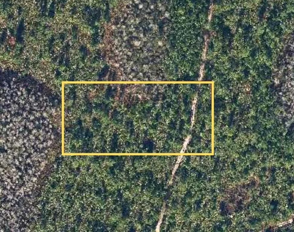 Vacant Land in Christmas - Christmas, Florida, 32709