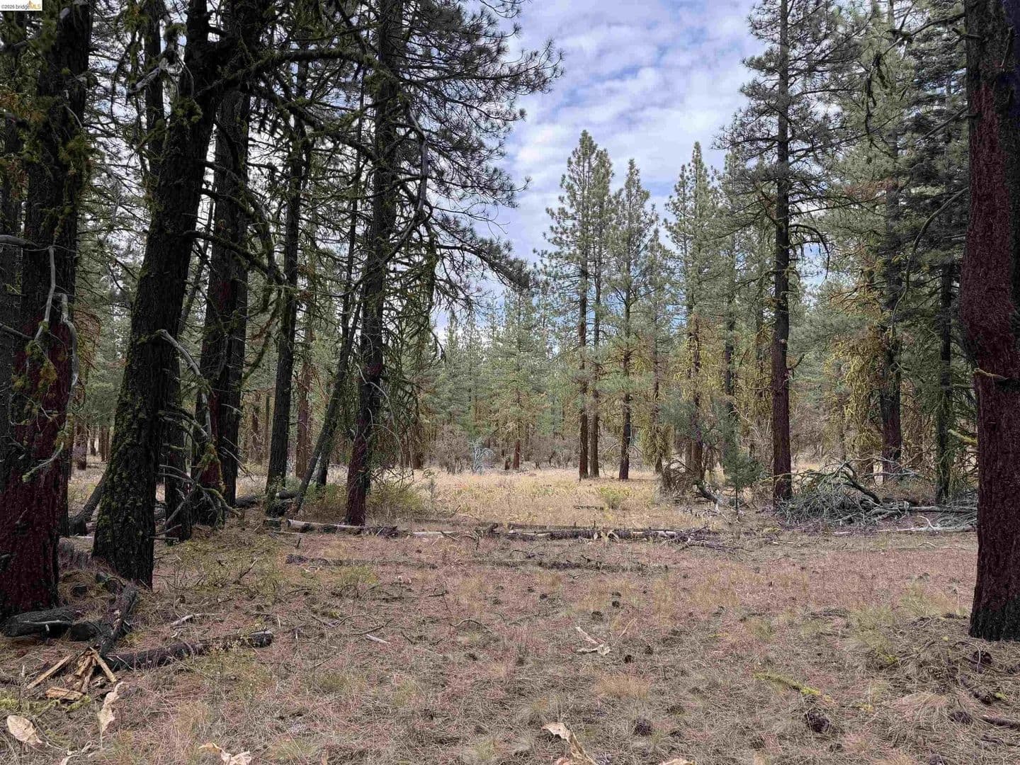 Lots & Land-Other in Susanville - Susanville, California, 96127