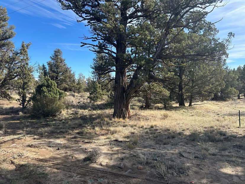 Vacant Land in Prineville