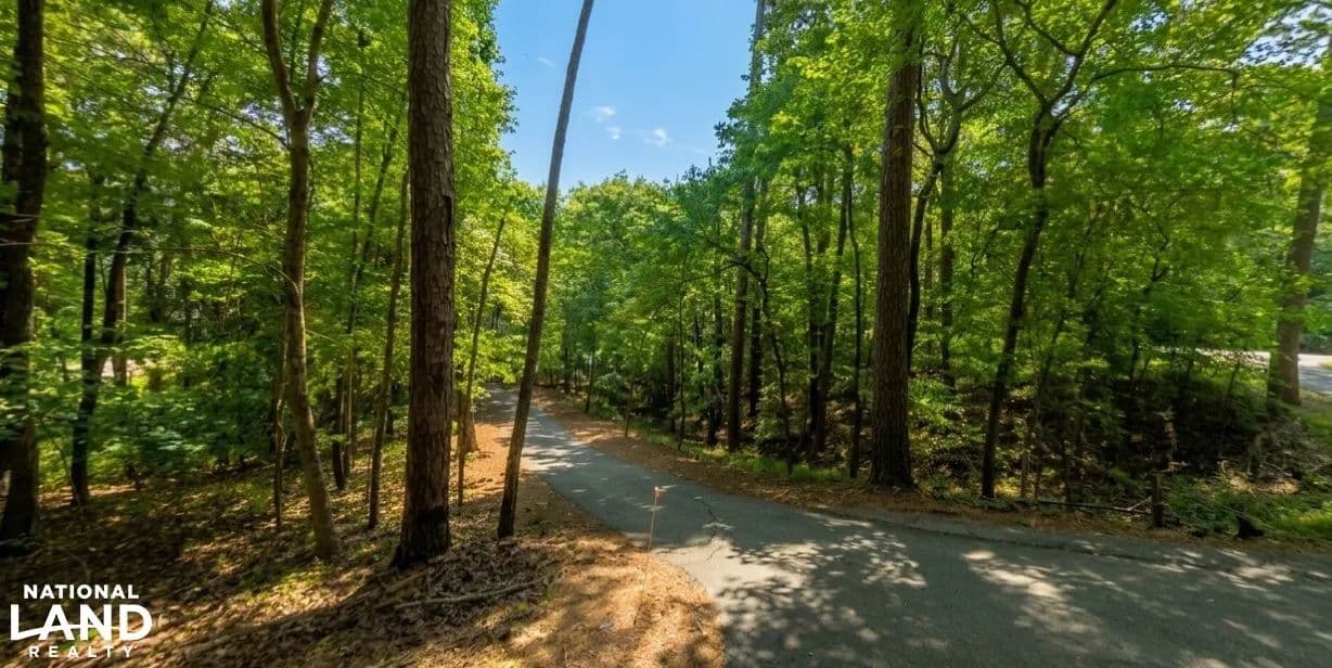 Hartwell Hideaway at Ridgemore - Toccoa, Georgia, 30577