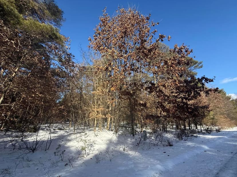 Lots & Land-Other in Stanwood