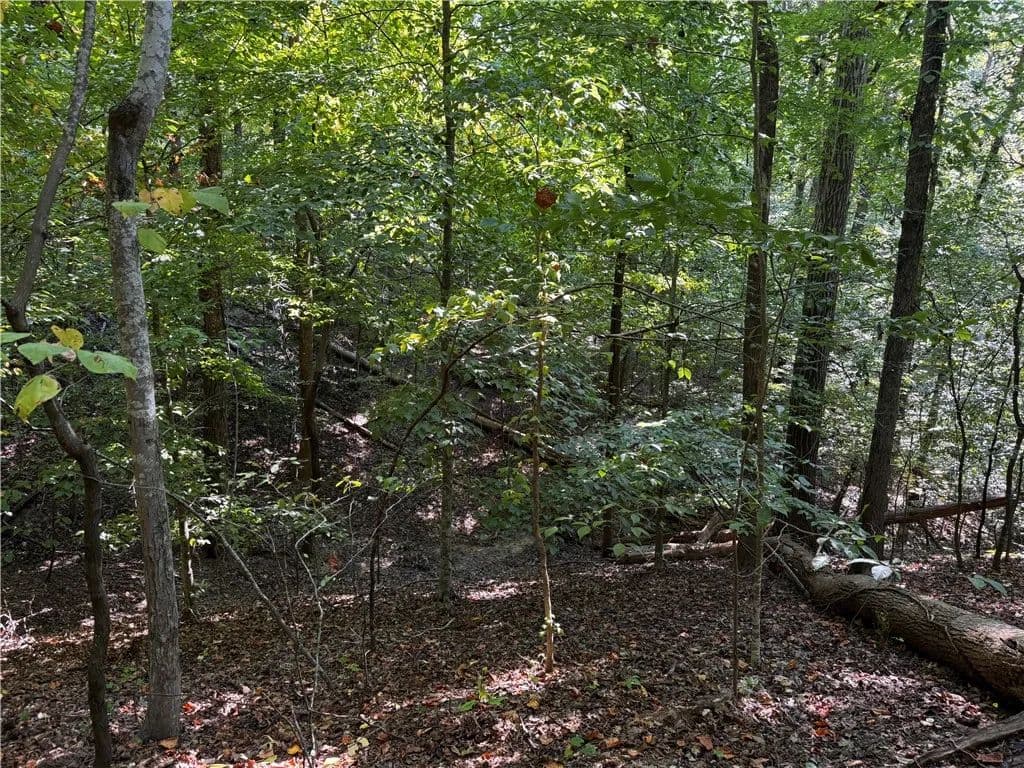 Vacant Land in Westminster - Westminster, South Carolina, 29693